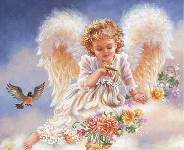 прелестные крылья ангела